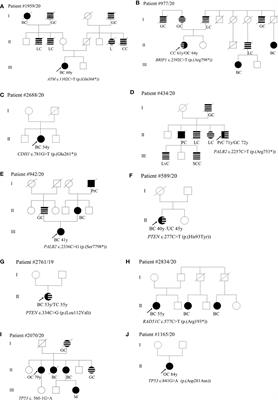 Exome Sequencing in BRCA1-2 Candidate Familias: The Contribution of Other Cancer Susceptibility Genes